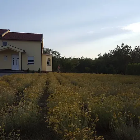 Vacation Kravica * Studenci
