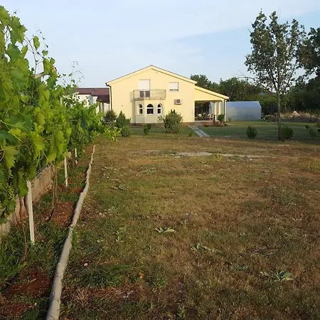 Vacation Kravica *