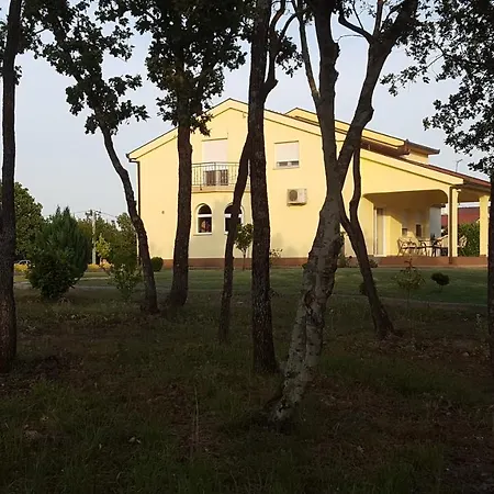 빌라 Vacation Kravica