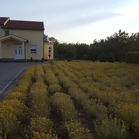 Vacation Kravica *