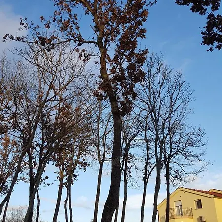 Vacation Kravica 빌라 Studenci