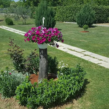 Vacation Kravica *