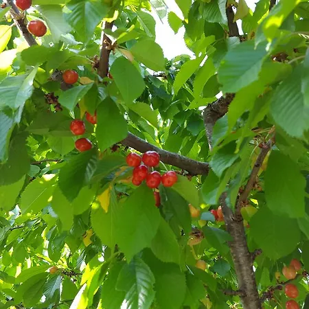 Vacation Kravica 빌라 Studenci