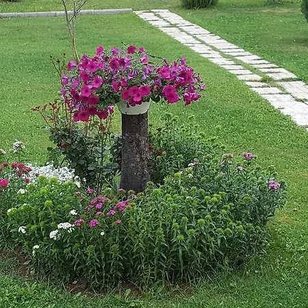 빌라 Vacation Kravica Studenci
